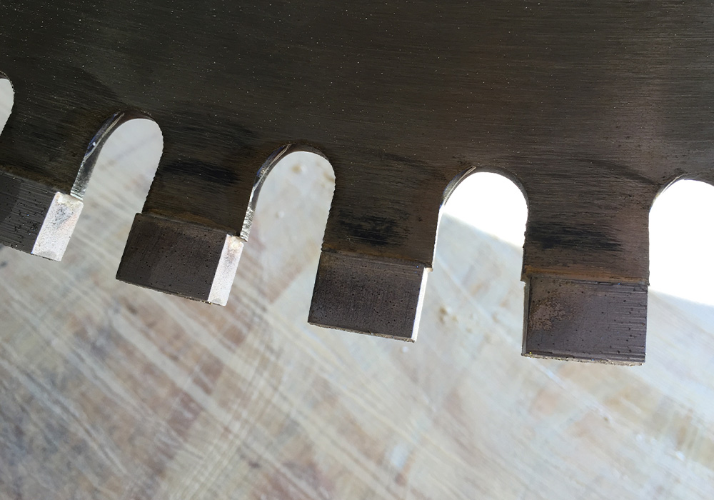 GTS blade